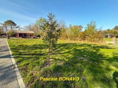 For sale Hourtin 525 m2 Gironde (33990) photo 2