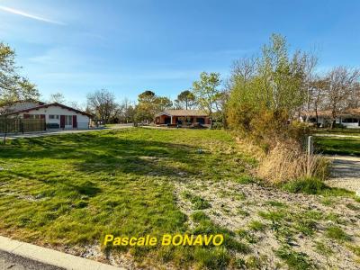 For sale Hourtin 525 m2 Gironde (33990) photo 3