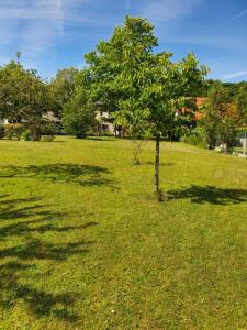 For sale Argenton-sur-creuse 4 rooms 110 m2 Indre (36200) photo 2