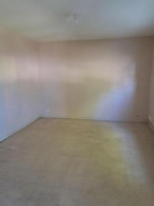 Annonce Location 2 pices Appartement Chatillon-sur-indre 36