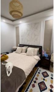 Louer Appartement 43 m2 Colombes