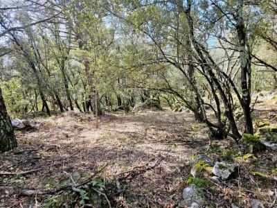 Acheter Terrain Camps-la-source Var