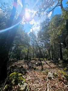 Acheter Terrain Camps-la-source 143000 euros