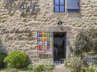Acheter Immeuble 200 m2 Guerno
