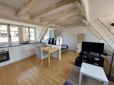 Annonce Location Appartement Strasbourg 67