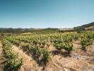 For sale Land Cascastel-des-corbieres ROUTE DES CHÂTEAUX CATHAR 107 m2