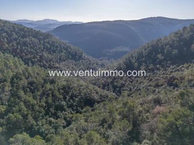 For sale Cabris SAINT-CEZAIRE-SUR-SIAGNE 1371 m2 Alpes Maritimes (06530) photo 0