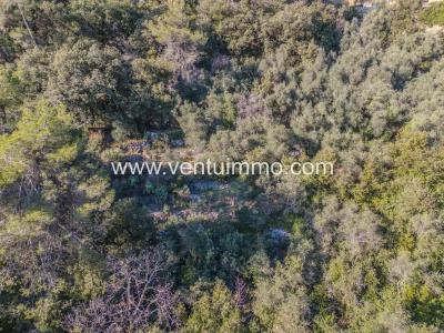 For sale Cabris SAINT-CEZAIRE-SUR-SIAGNE 1371 m2 Alpes Maritimes (06530) photo 2