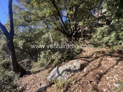 For sale Cabris SAINT-CEZAIRE-SUR-SIAGNE 1371 m2 Alpes Maritimes (06530) photo 3