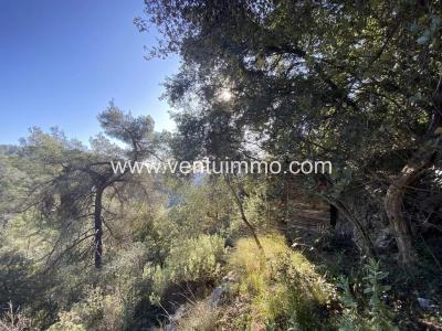 For sale Cabris SAINT-CEZAIRE-SUR-SIAGNE 1371 m2 Alpes Maritimes (06530) photo 4