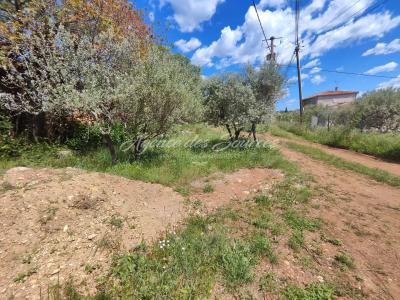 For sale Tavernes 917 m2 Var (83670) photo 0