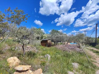 Annonce Vente Terrain Tavernes 83