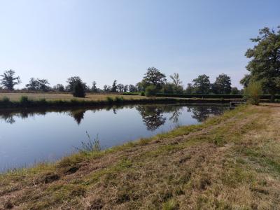 For sale CAMPAGNE Creuse (23230) photo 2