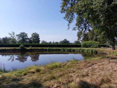 For sale CAMPAGNE Creuse (23230) photo 4