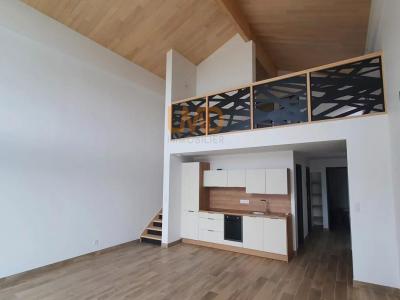 Annonce Location 4 pices Maison Villemur-sur-tarn 31