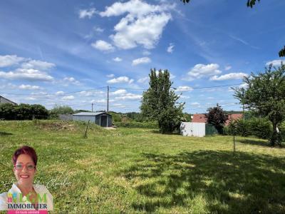 Acheter Terrain 884 m2 Marigny-en-orxois