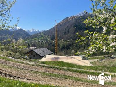 Annonce Vente Terrain Serraval 74