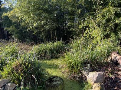 Annonce Vente 4 pices Maison Sauvetat-de-saveres 47