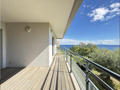 Annonce Vente 4 pices Appartement Ville-di-pietrabugno 20