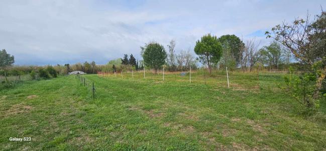 For sale Arles 9 rooms 303 m2 Bouches du Rhone (13200) photo 1