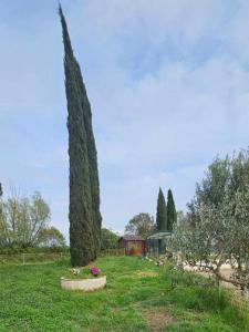 For sale Arles 9 rooms 303 m2 Bouches du Rhone (13200) photo 2