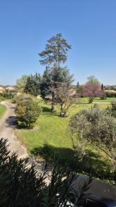 Acheter Prestige Avignon Vaucluse