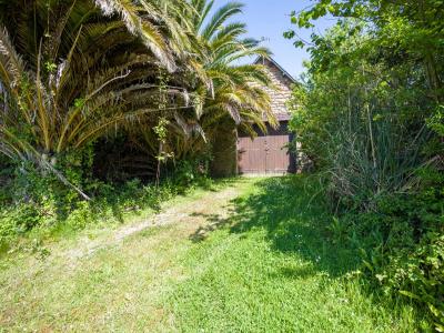 Annonce Vente 5 pices Maison Pleubian 22
