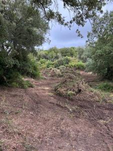 For sale Pietrosella 5556 m2 Corse (20166) photo 0