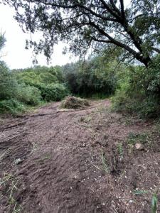 For sale Pietrosella 5556 m2 Corse (20166) photo 1