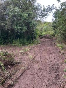 For sale Pietrosella 5556 m2 Corse (20166) photo 2