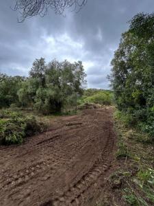 For sale Pietrosella 5556 m2 Corse (20166) photo 3