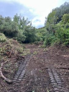 For sale Pietrosella 5556 m2 Corse (20166) photo 4