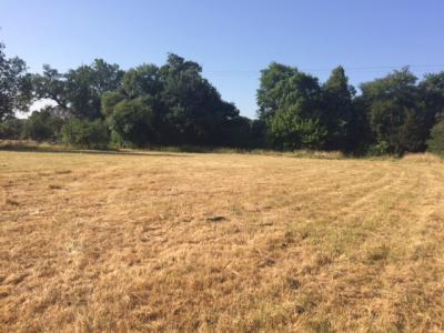 For sale Belin-beliet 400 m2 Gironde (33830) photo 1
