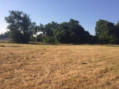 For sale Belin-beliet 400 m2 Gironde (33830) photo 2