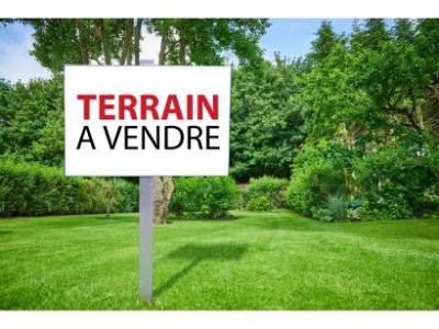 For sale Prignac-et-marcamps 773 m2 Gironde (33710) photo 2