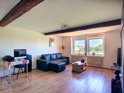 Annonce Location 3 pices Appartement Hurtigheim 67