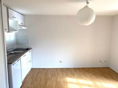 For rent Dijon 1 room 21 m2 Cote d'or (21000) photo 1