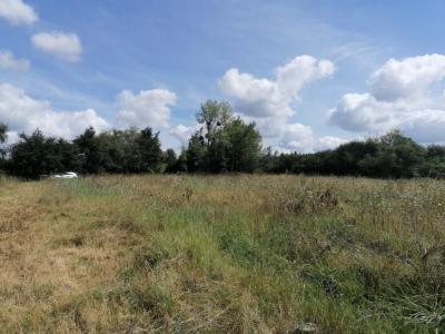 Louer Terrain Clery-saint-andre