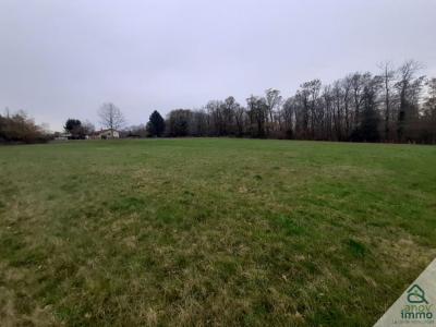 Acheter Terrain 3373 m2 Saint-junien