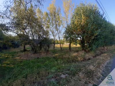 Acheter Terrain Saint-junien 71700 euros