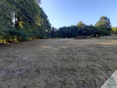 Acheter Terrain Saint-junien 79200 euros
