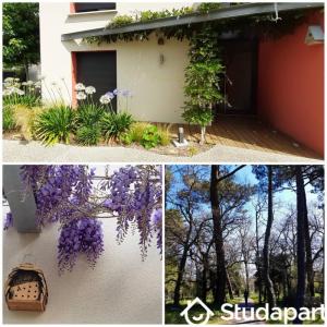For rent Pessac 1 room 13 m2 Gironde (33600) photo 1