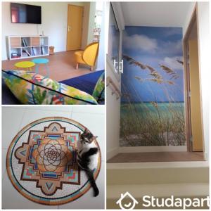 For rent Pessac 1 room 13 m2 Gironde (33600) photo 3