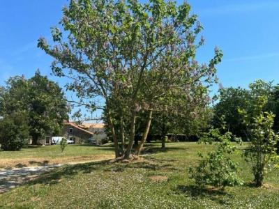 Annonce Vente 7 pices Maison  16