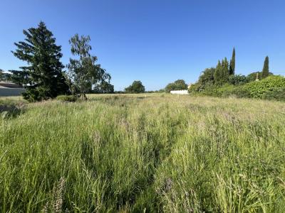 Annonce Vente Terrain  44