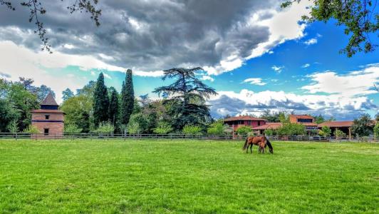 For sale Montauban 13 rooms 500 m2 Tarn et garonne (82000) photo 4