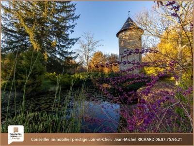 For sale Romorantin-lanthenay 7 rooms 198 m2 Loir et cher (41200) photo 4