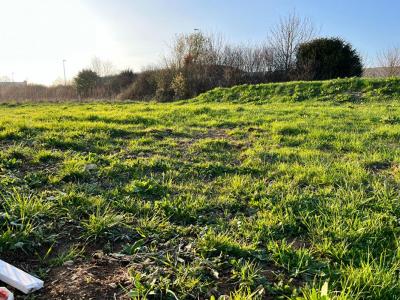 For sale Falaise 600 m2 Calvados (14700) photo 0