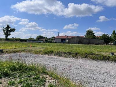 For sale Saint-martin-des-tilleuls 407 m2 Vendee (85130) photo 0