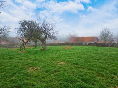 Annonce Vente Terrain Acquin-westbecourt 62